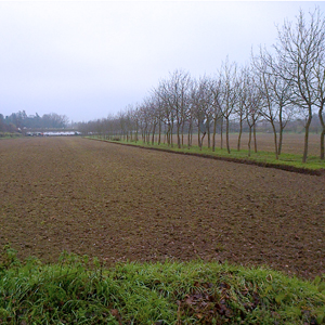 imu-terreni-agricoli-2015